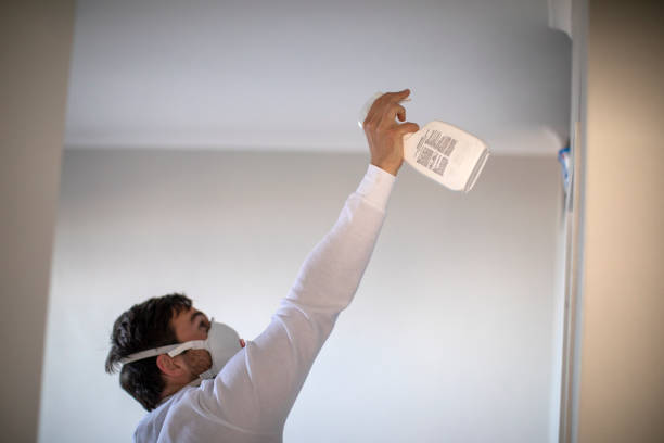 Best Mold Cleaning Services  in Holgate, OH
