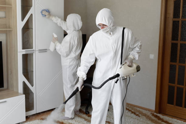 Best Crawl Space Mold Removal  in Holgate, OH